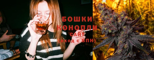 ПСИЛОЦИБИНОВЫЕ ГРИБЫ Балахна