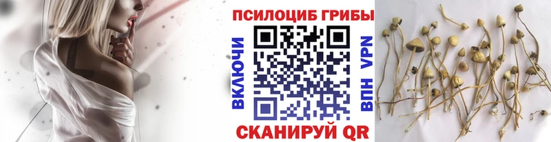 Псилоцибиновые грибы ЛСД  Борисоглебск 